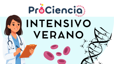 Intensivo Verano '26